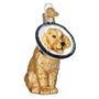 Dog with a Cone Of Shame Glass Ornament side view