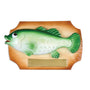 Fish on Plaque Ornament for Christmas Tree