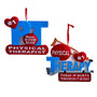 #1 Physical Therapist Ornament Assortment A2243