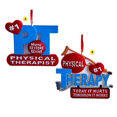 #1 Physical Therapist Ornament Assortment PT A2243A Therapy A2243B