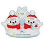 Personalized Christmas Arctic Seal Couple Ornament OR2663-2