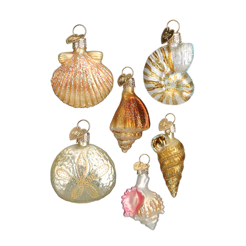 Coastal Christmas ornament set with glass shells in pearly white, gold, coral, and orange tones.