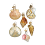 Coastal Christmas ornament set with glass shells in pearly white, gold, coral, and orange tones.