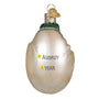 Dinosaur egg ornament with a baby dinosaur emerging on a white background back view personalized