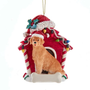 Golden Retriever wearing a Santa hat in a red dog house Christmas ornament decorated with colorful lights and holly.