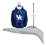 Blue hoodie ornament with 'UK' logo on a white background