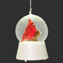 LED cardinal waterglobe ornament with a red cardinal on a branch inside a clear globe and a white glittered base, shown illuminated.
