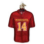 Minnesota Gophers sports jersey with number 14 on a white background