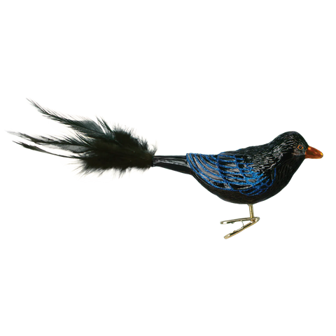 Decorative Raven bird ornament with black, blue, and orange colors on a white background