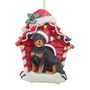 Black and tan Rottweiler wearing a Santa hat in a red dog house Christmas ornament decorated with colorful lights.