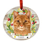 Personalized Tabby Cat Ornament - Orange