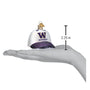 Washington Huskies Baseball Cap with team logo on white background showing size