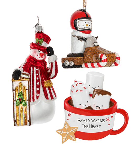 Glass snowman ornament, original s'mores ornament snowmobile, and personalized family ornament hot cocoa mug with marshmallow family members