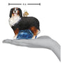 Bernese Mountain Dog Glass Ornament for the Christmas Tree