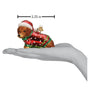 3.25 inch Dashing Dachshund, Old World Christmas Ornament wearing Santa Hat and  Christmas sweater