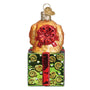 Back of Doodle Puppy Surprise, Old World Christmas Ornament - Doodle peaking out of green and red present