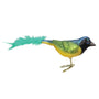 Green Jay Ornament - Old World Christmas