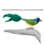 Green Jay Ornament - Old World Christmas