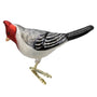 Red-Crested Cardinal, Old World Christmas Ornament