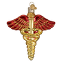 Medical Symbol Ornament - Old World Christmas