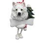 American Eskimo Dog Ornament for Christmas Tree