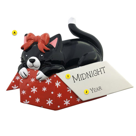 Personalized Cat in a Gift Box Ornament