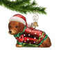 Dachshund Dog in Santa Hat and Christmas Sweater Glass ornament hanging by a gold swirl hook from a Christmas branch