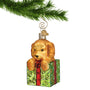 Doodle Puppy in a wrapped green with red ribbon Christmas present box glass ornament hanging from a gold swirl hook on a Christmas tree branch