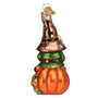 Gnome Dressed up for fall sitting on a pumpkin Glass Ornament Back View