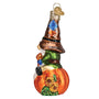 Gnome Dressed up for fall sitting on a pumpkin Glass Ornament Side View