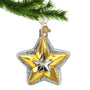 Glass gold and silver star ornament hanging by a gold swirl hook from a Christmas tree branch
