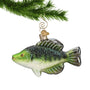 Glass Fish Ornament hanging by a gold swirl hook on Christmas tree branch