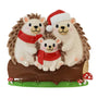 Hedgehog Family of 3 Ornament