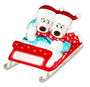 Polar Bear Couple in Sled Personalized Ornament For Christmas Tree
