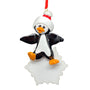 Petey the Penguin with Snowflake Christmas Ornament 