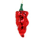 Personalized Red Poblano Pepper Ornament