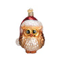 Santa Owl Ornament for Christmas Tree