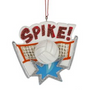 Spike Volleyball Christmas Ornament with ball and net