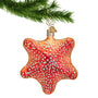 glass starfish ornament hanging by a gold swirl hook