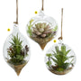 Terrarium with Artificial Succulent Glass Ornament