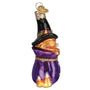 Trick-or-Treat Kitty in halloween bag Ornament side view