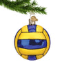 Water Polo Ball Glass Christmas Ornament hanging by a gold swirl hook